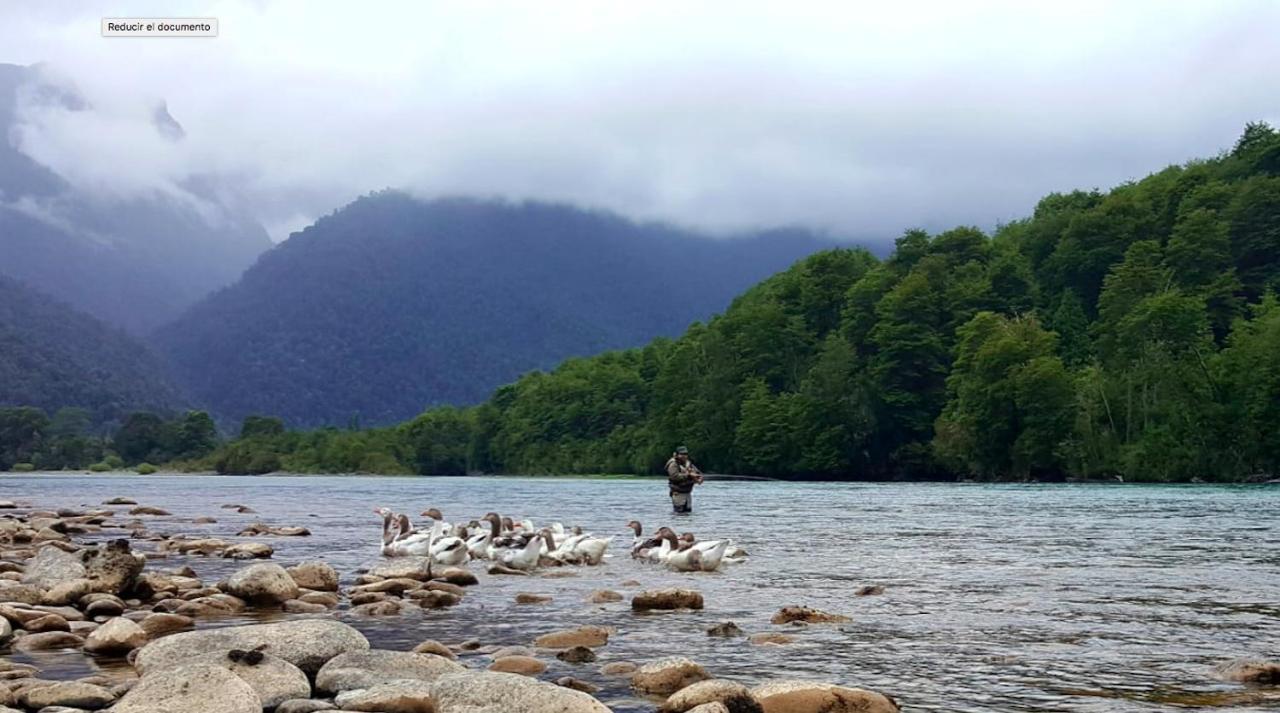 Cabanas Nutrias Patagonicas Puelo River Buitenkant foto